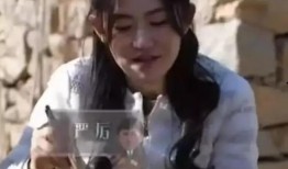 黄磊爆料娱乐圈,真实与虚幻的交织